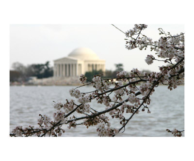 Capitol Image